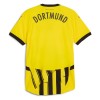 Officiële Voetbalshirt Borussia Dortmund Cup 2024-25 - Heren